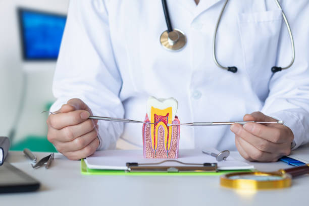 Best Emergency Denture Repair in Landing, NJ
